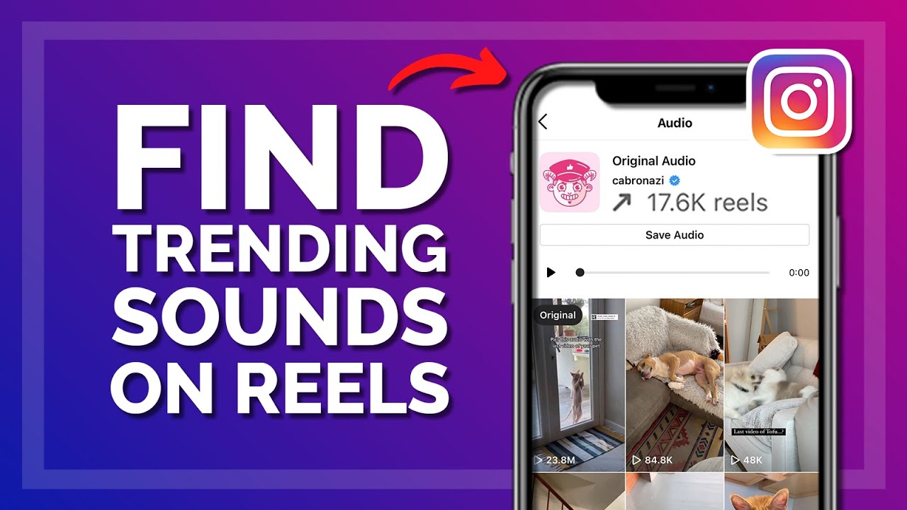 How to Find Trending Songs on Instagram